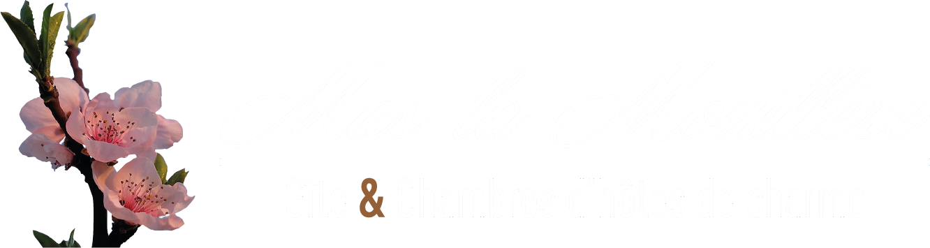 Logo Du Site